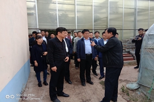 濟(jì)寧市泗水縣組織部秦明部長(zhǎng)一行，到訪我公司農(nóng)業(yè)園區(qū)參觀考察