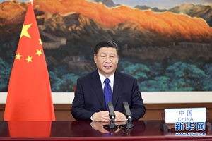 習(xí)近平宣布：2030年太陽(yáng)能、風(fēng)電總裝機(jī)1200GW以上，新能源比例達(dá)到25%