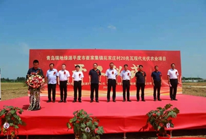 青島瑞地綠源20兆瓦現(xiàn)代光伏農(nóng)業(yè)項目開工大吉